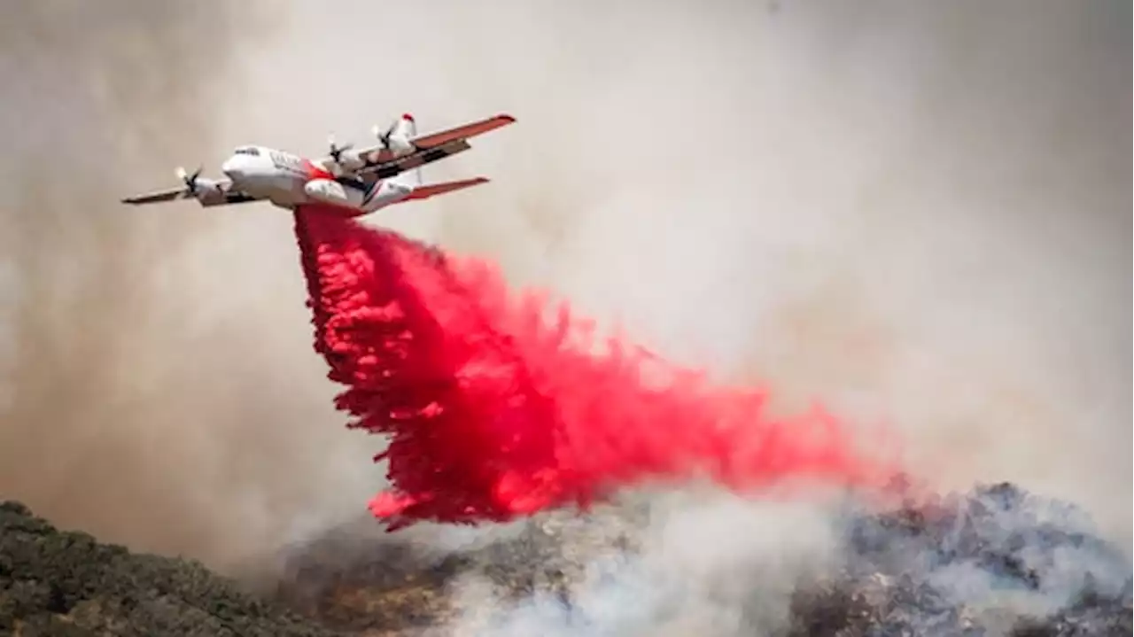 Aerial firefighting now a key global strategy as bushfire season looms, authorities say