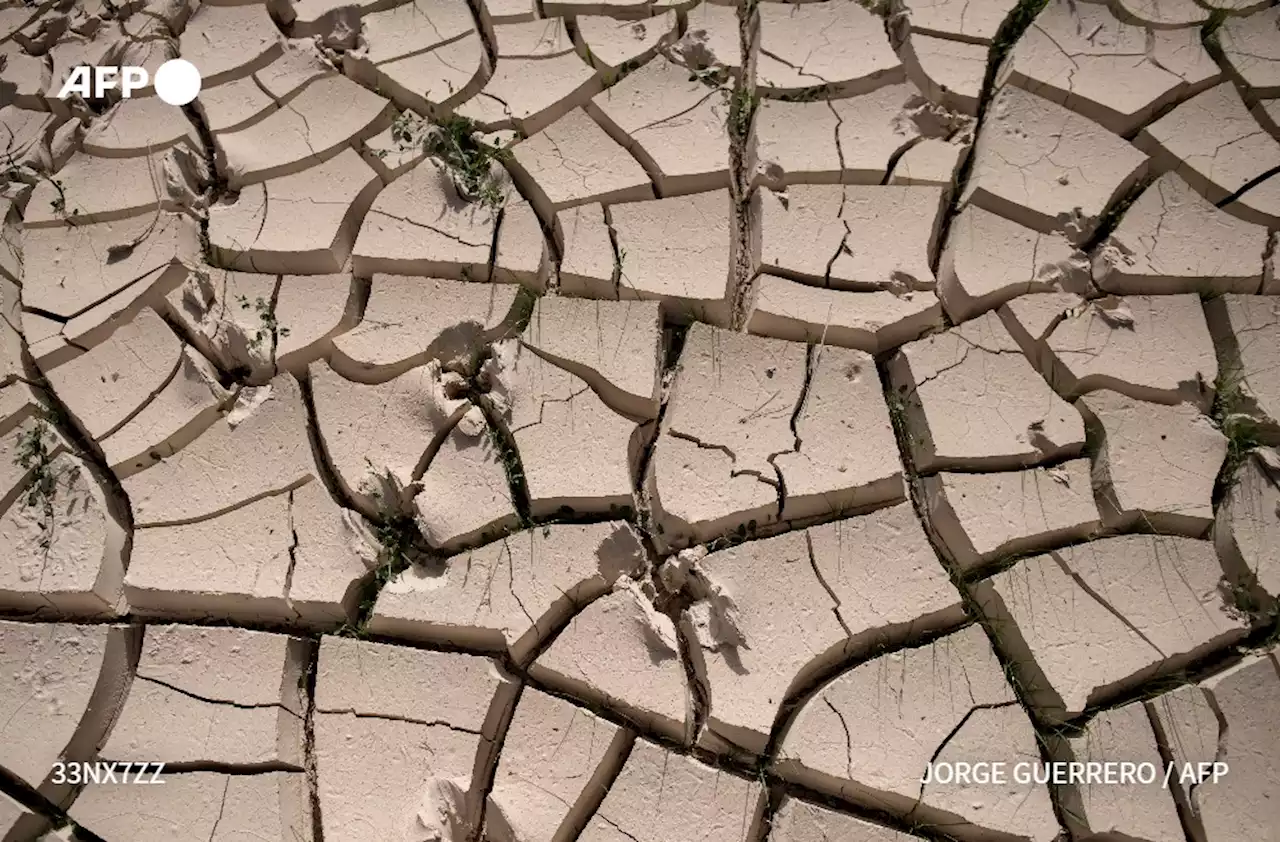 Espagne: avec la désertification, l'inquiétante progression des terres 'sans vie'