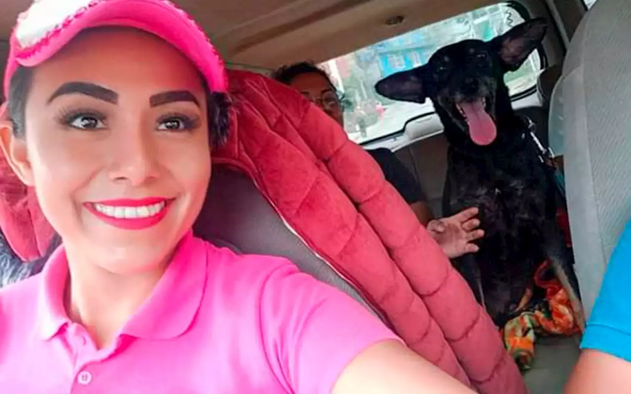 ¡La 'Barbie rescatista' es mexicana!; mujer salva a animales en camioneta rosa