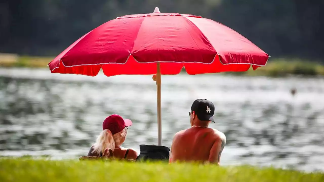 Kommt nächste Woche der Sommer zurück?