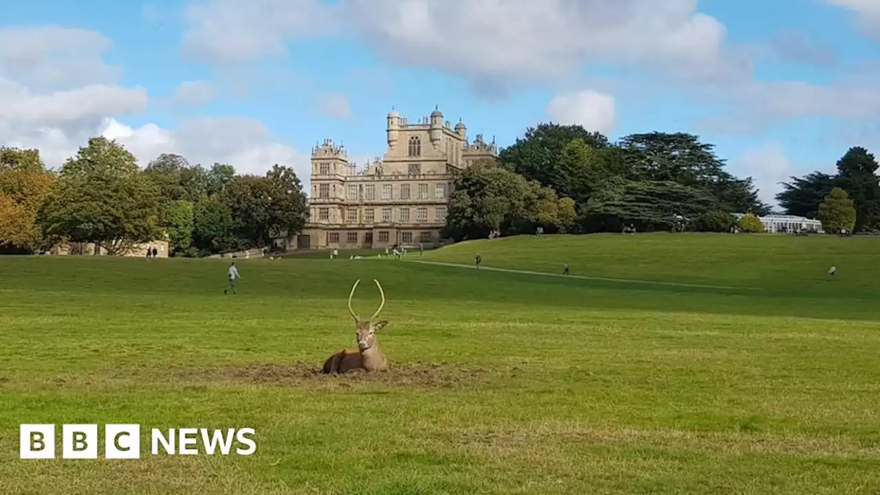 Wollaton Hall: Funding found for natural history museum revamp