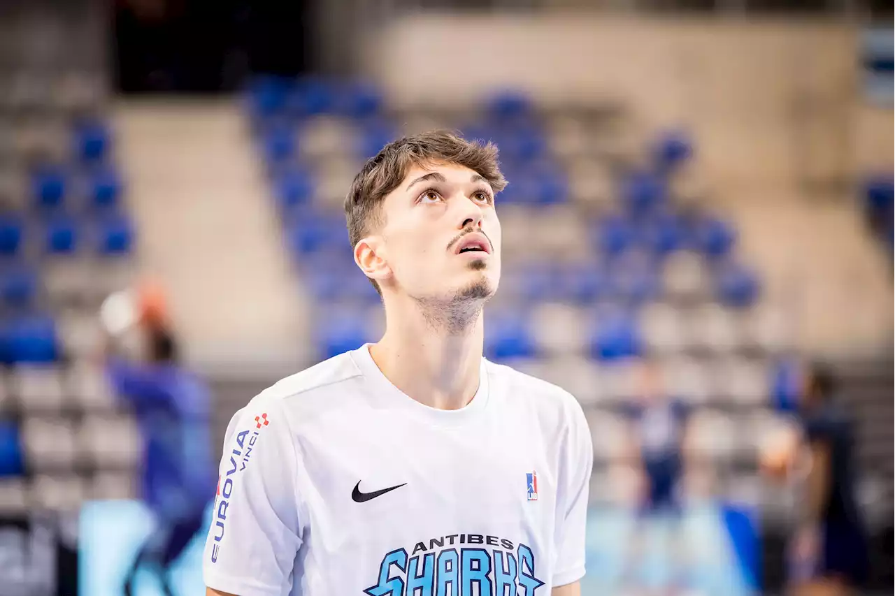 Matthieu Vigneron, Tristan Pothion et Steven Cayol rejoignent Avignon - BeBasket