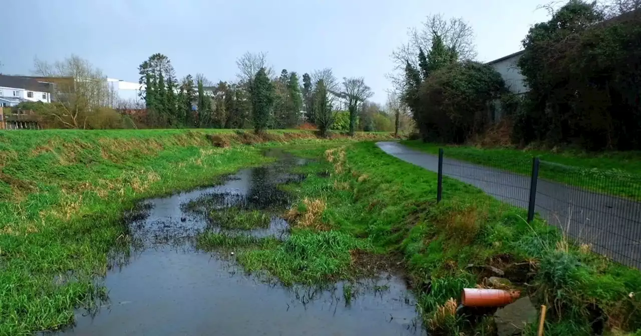 Canal oil polluters yet to be named by Executive agency investigation