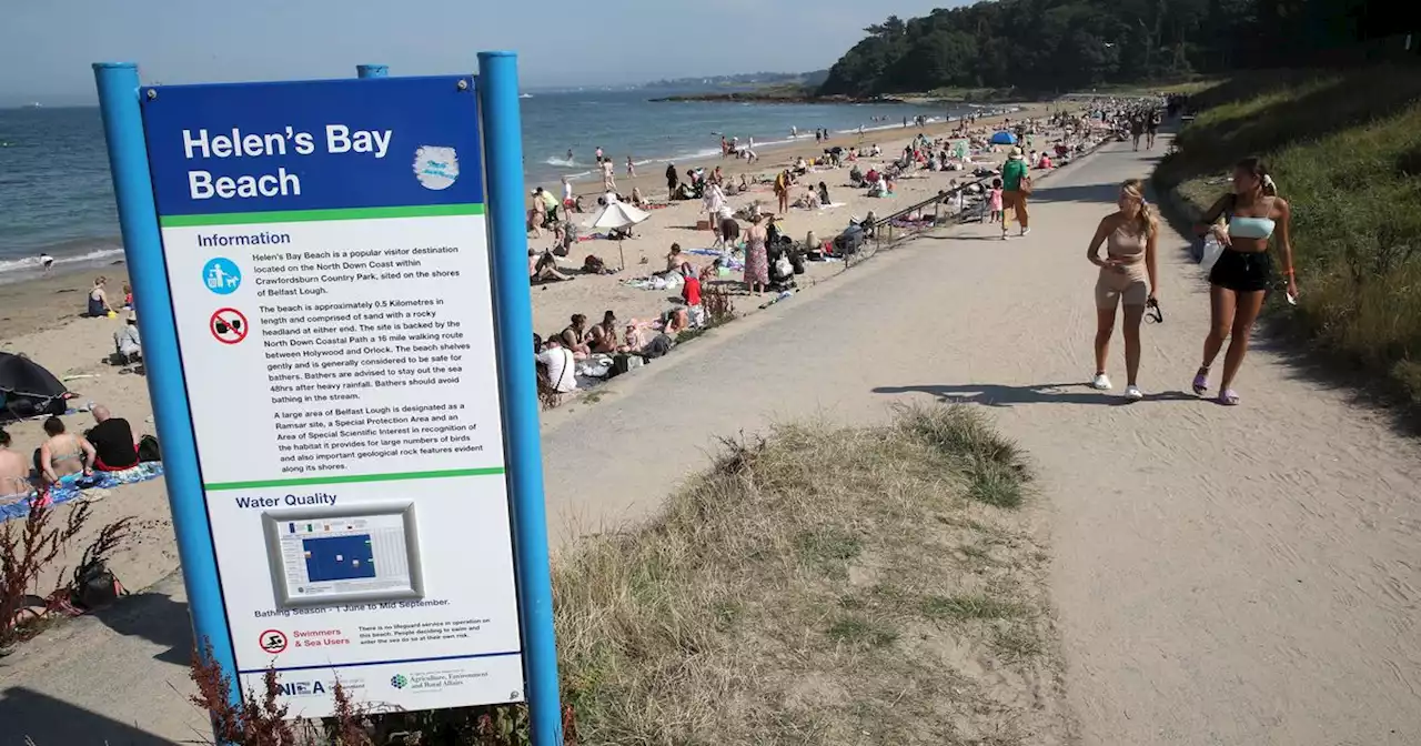 Helen's Bay beach water deemed clear as E-Coli found at four other locations