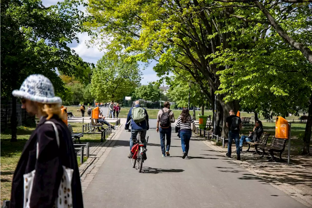 Kriminalität im Görlitzer Park: Ist doch alles super hier