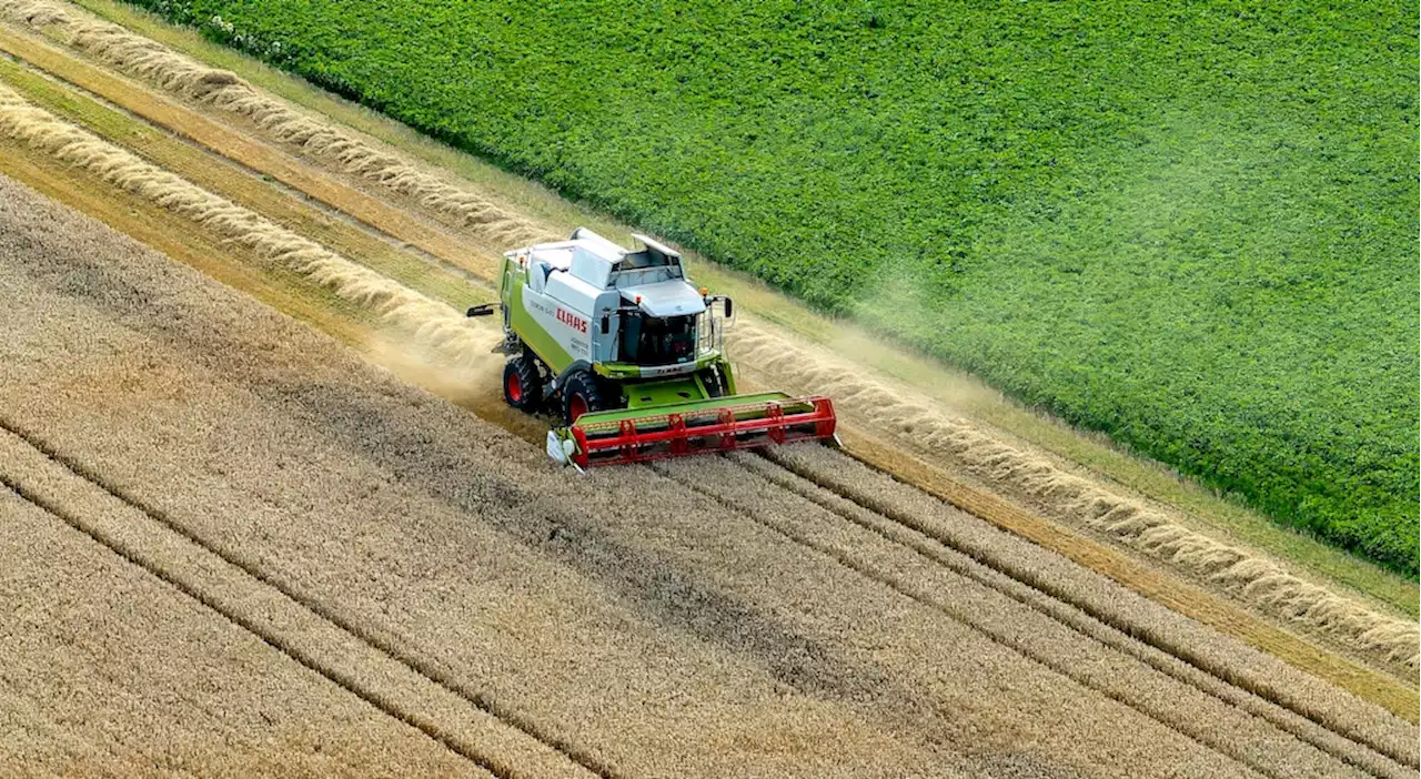 Zu viel Regen: Deutsche Bauern hoffen auf trockenes Wetter