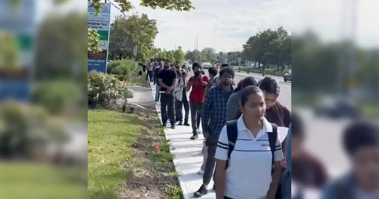 Video shows hundreds of people lining up desperate for jobs in Mississauga