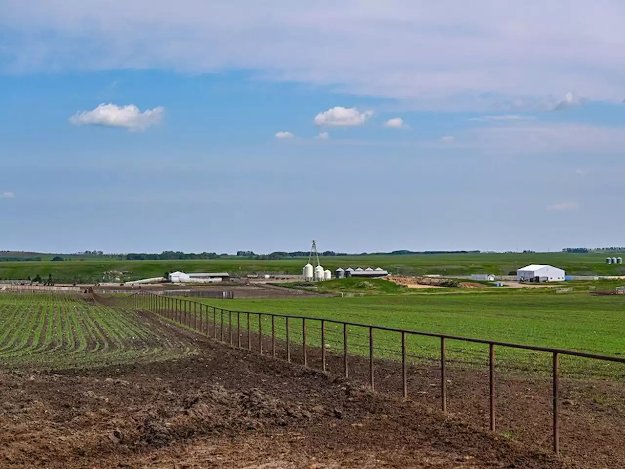 Expansive city-side ranch up for sale days after death of owner Stan Grad