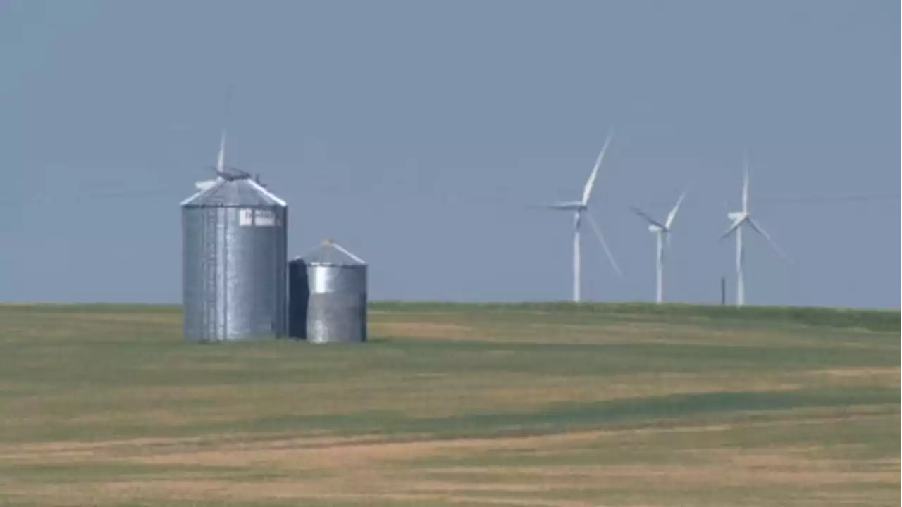 Alberta pausing approvals for new renewable-energy utilities to assess development rules | CBC News