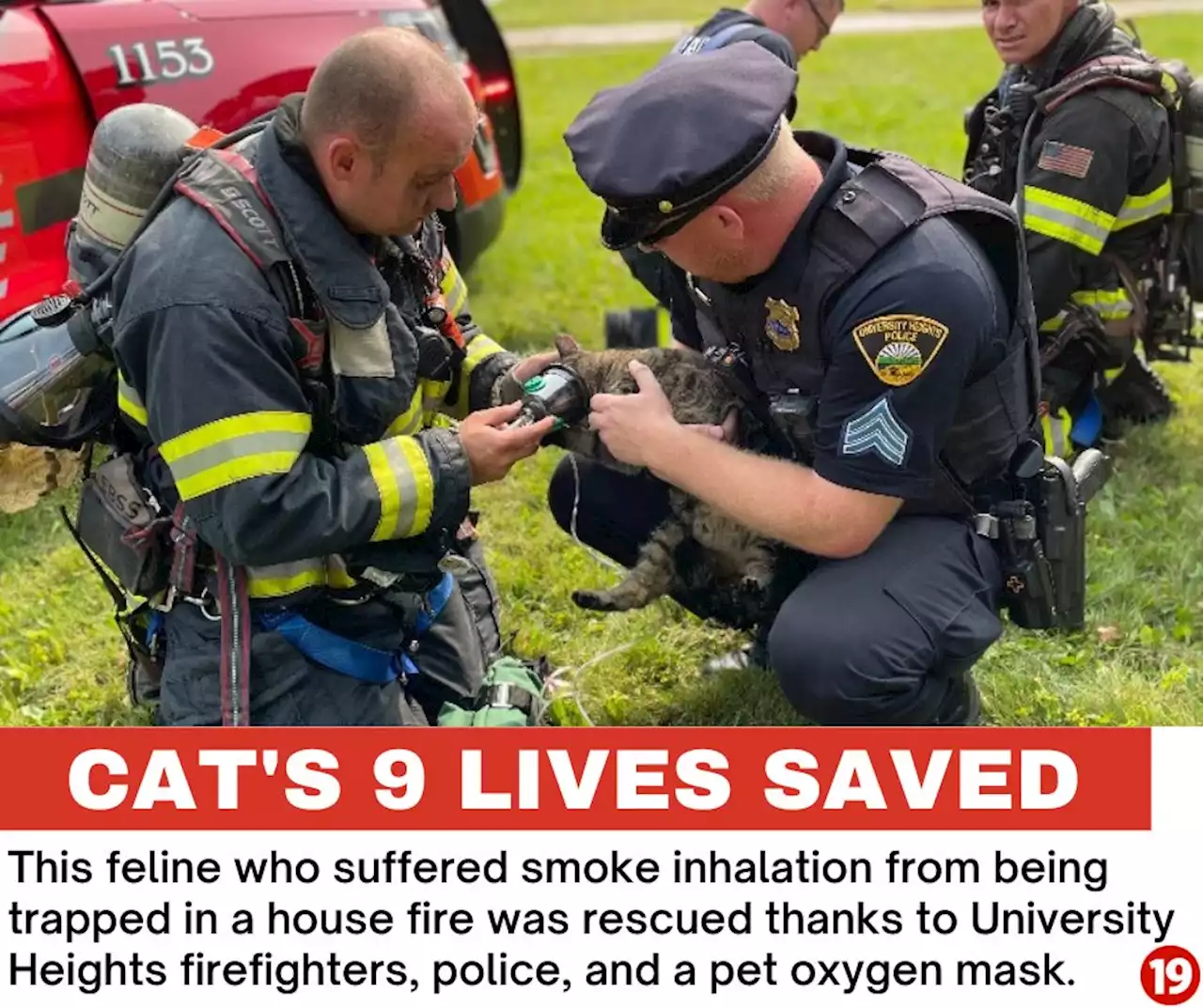 University Heights cat trapped in house fire saved by firefighters, police, pet oxygen mask