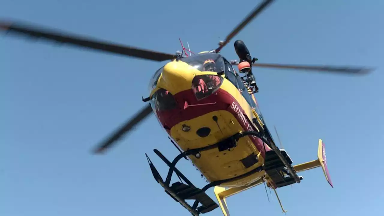 Charente-Maritime : un enfant de 10 ans entre la vie et la mort après avoir été écrasé par un arbre