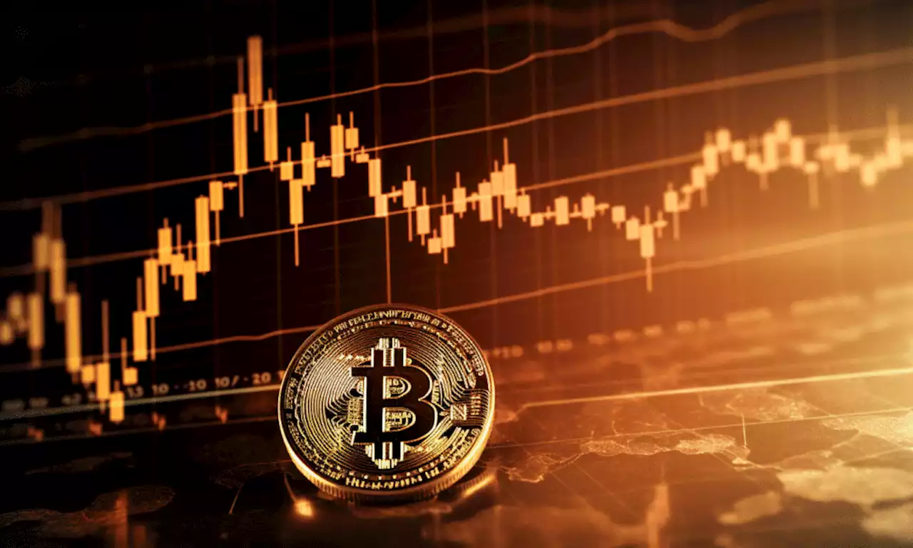 Tracing Bitcoin’s price decline through crucial metrics