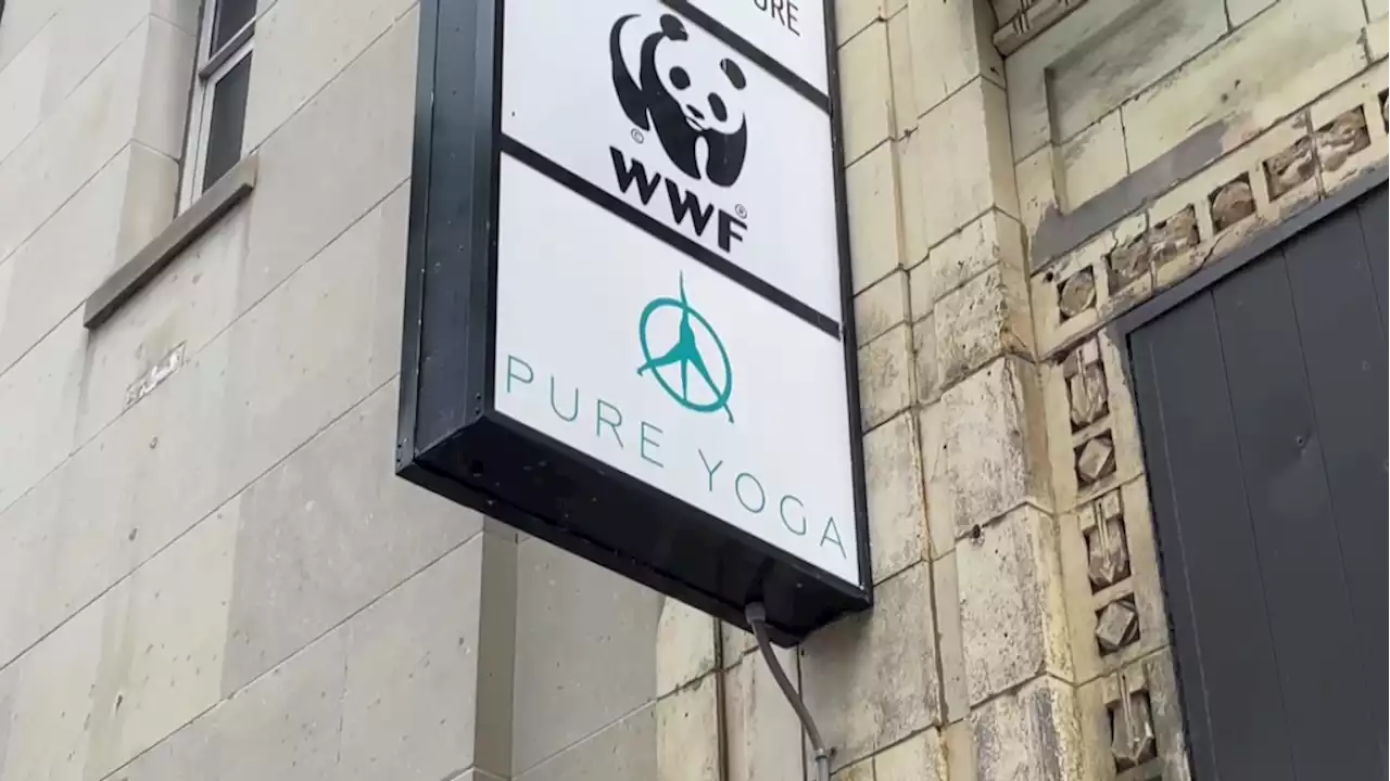 Pure Yoga cites changing climate for decision to close downtown Ottawa location