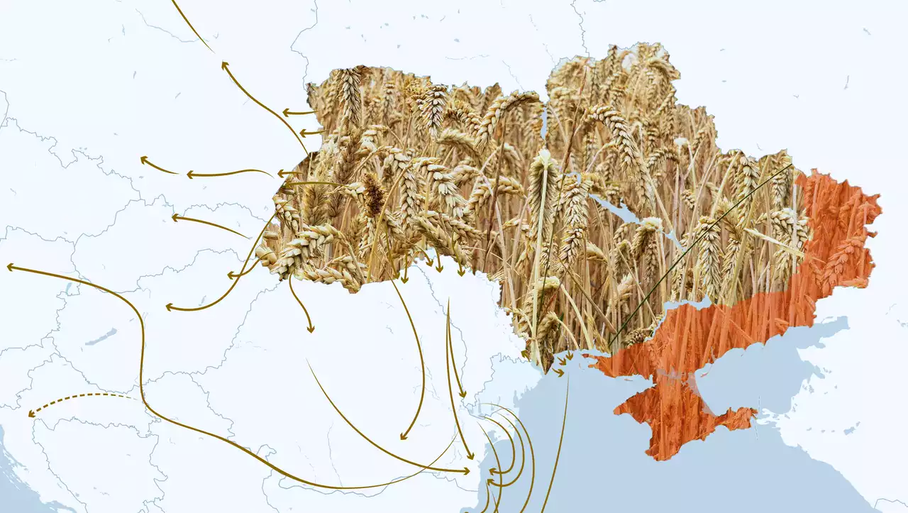 (S+) Russlands Schwarzmeer-Blockade für ukrainisches Getreide: Was können die Landwege schaffen?