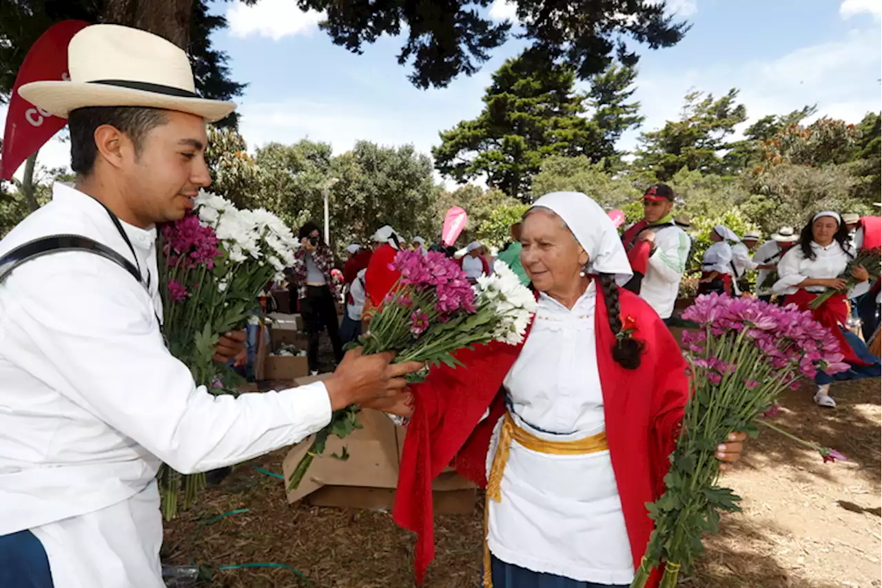 Trueque de flores: Asocolflores entregó 600 mil tallos a silleteros | FeriadeFlores.com