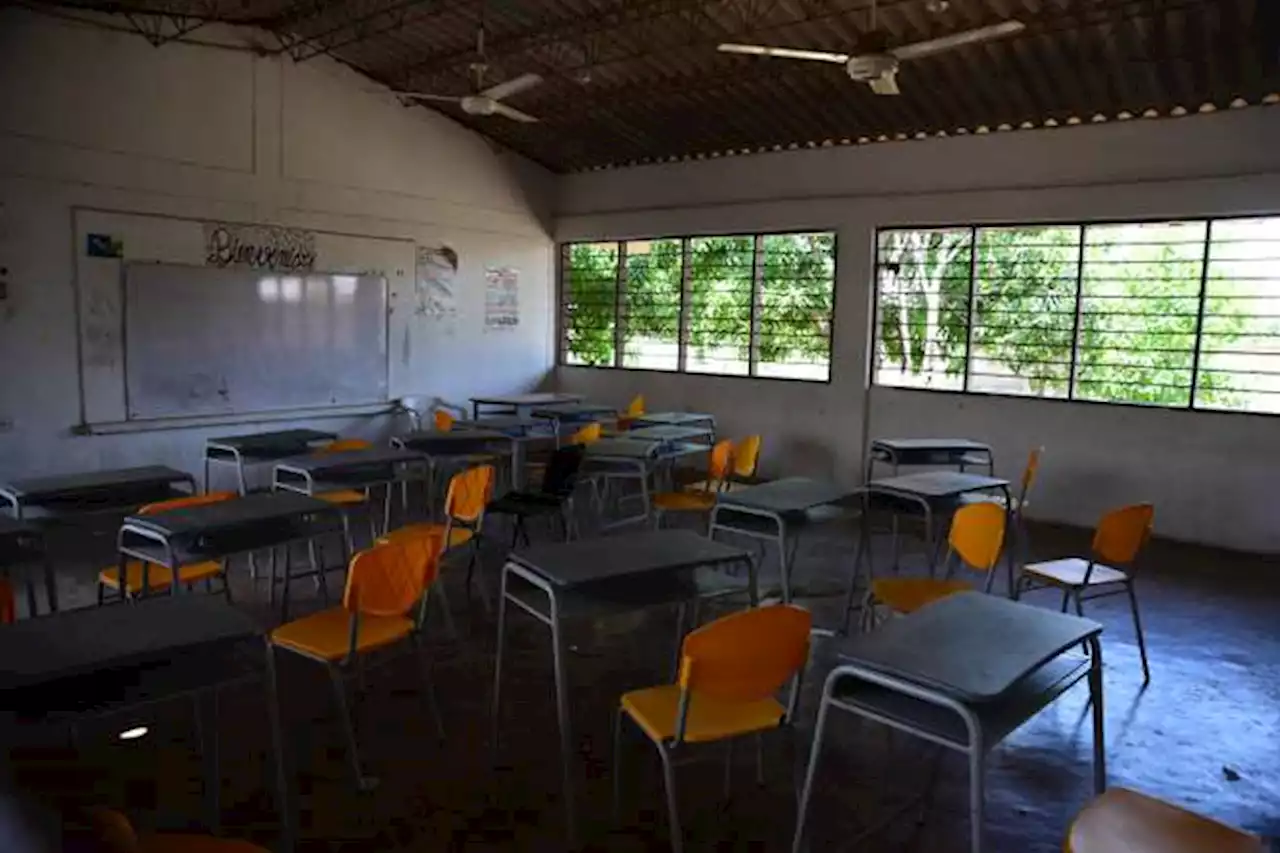 Aumentaron las matrículas en pregrados y posgrados durante 2022: Mineducación