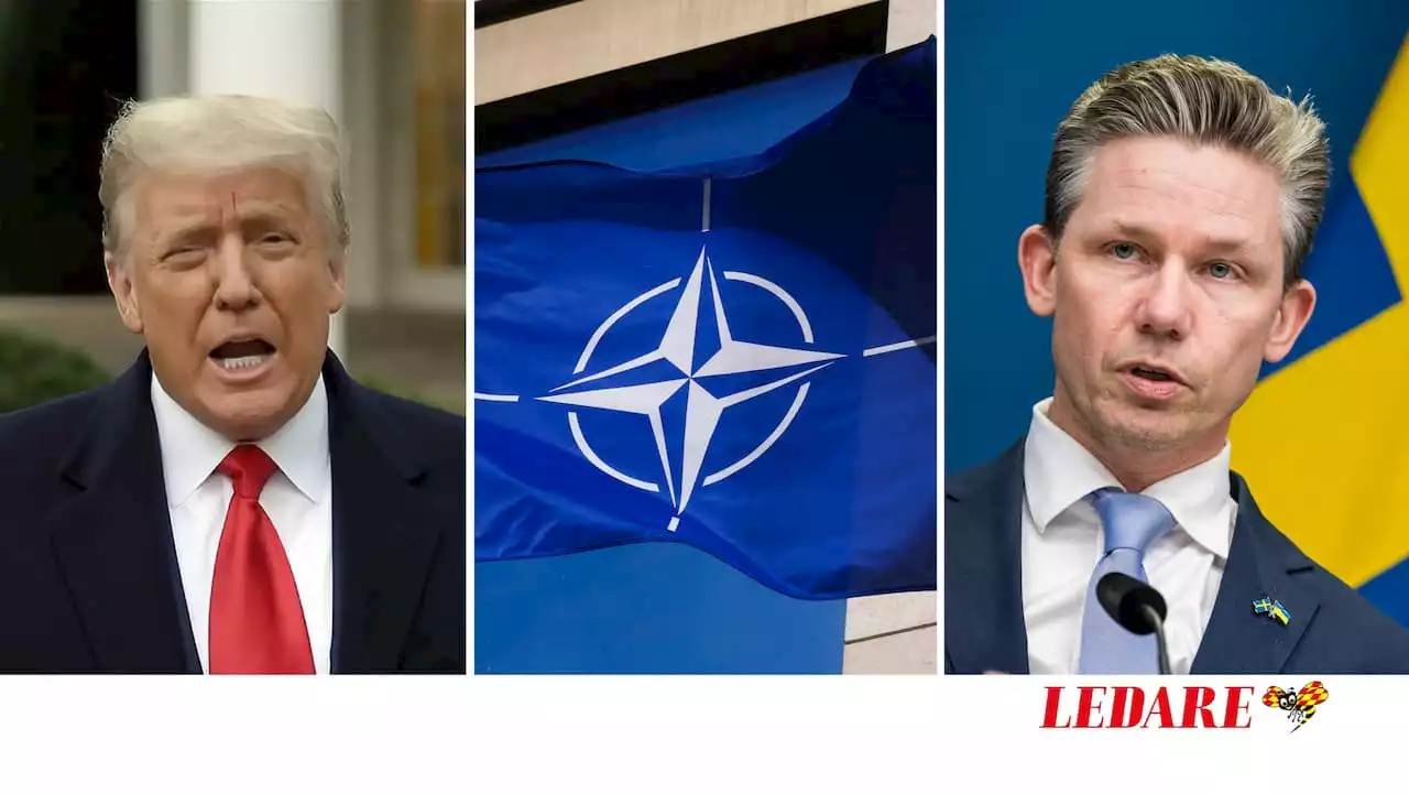 LEDARE: Nato är mer pålitligt än Donald Trump