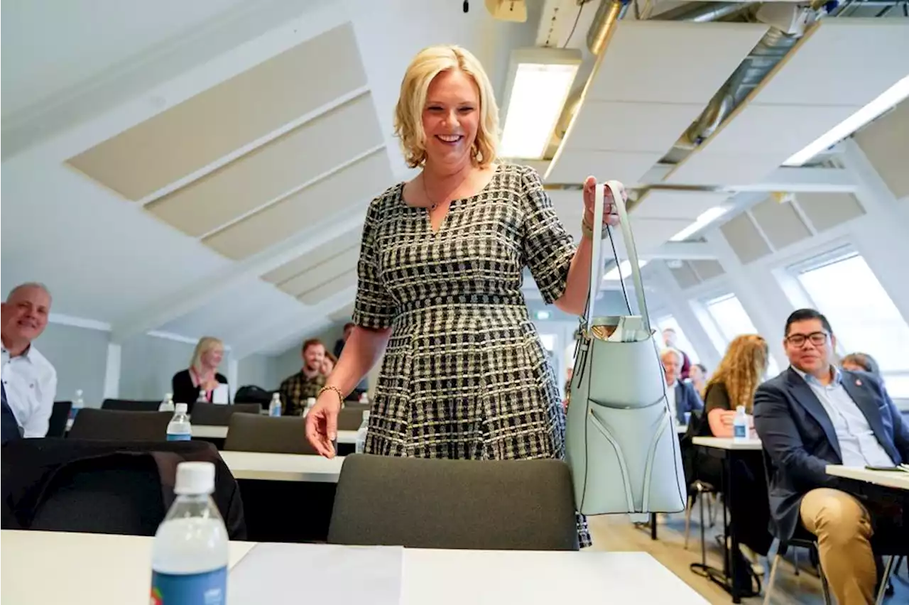 Listhaug krever kutt i matmoms og vil ha flere boliger