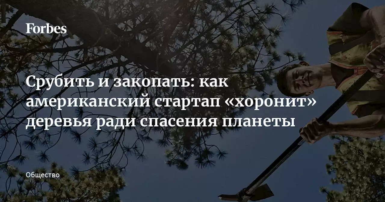 Срубить и закопать: как американский стартап «хоронит» деревья ради спасения планеты