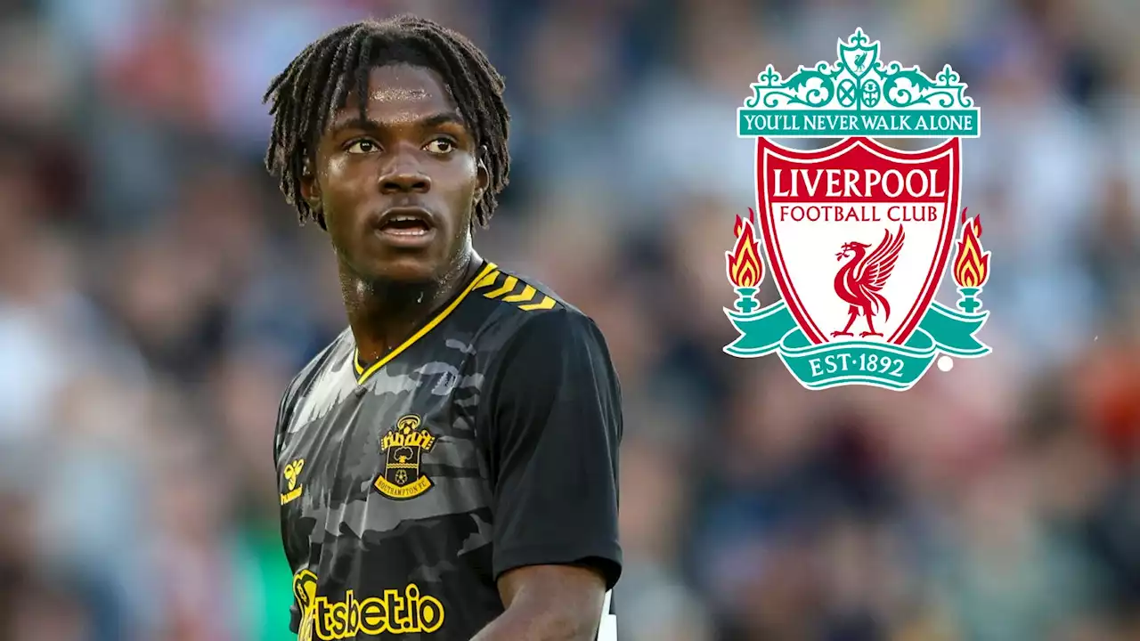 Beruntung Untuk Ketiga Kalinya? Liverpool Siap Samai Harga Yang Diminta Southampton Untuk Romeo Lavia Dengan Tawaran Terakhir | Goal.com Indonesia