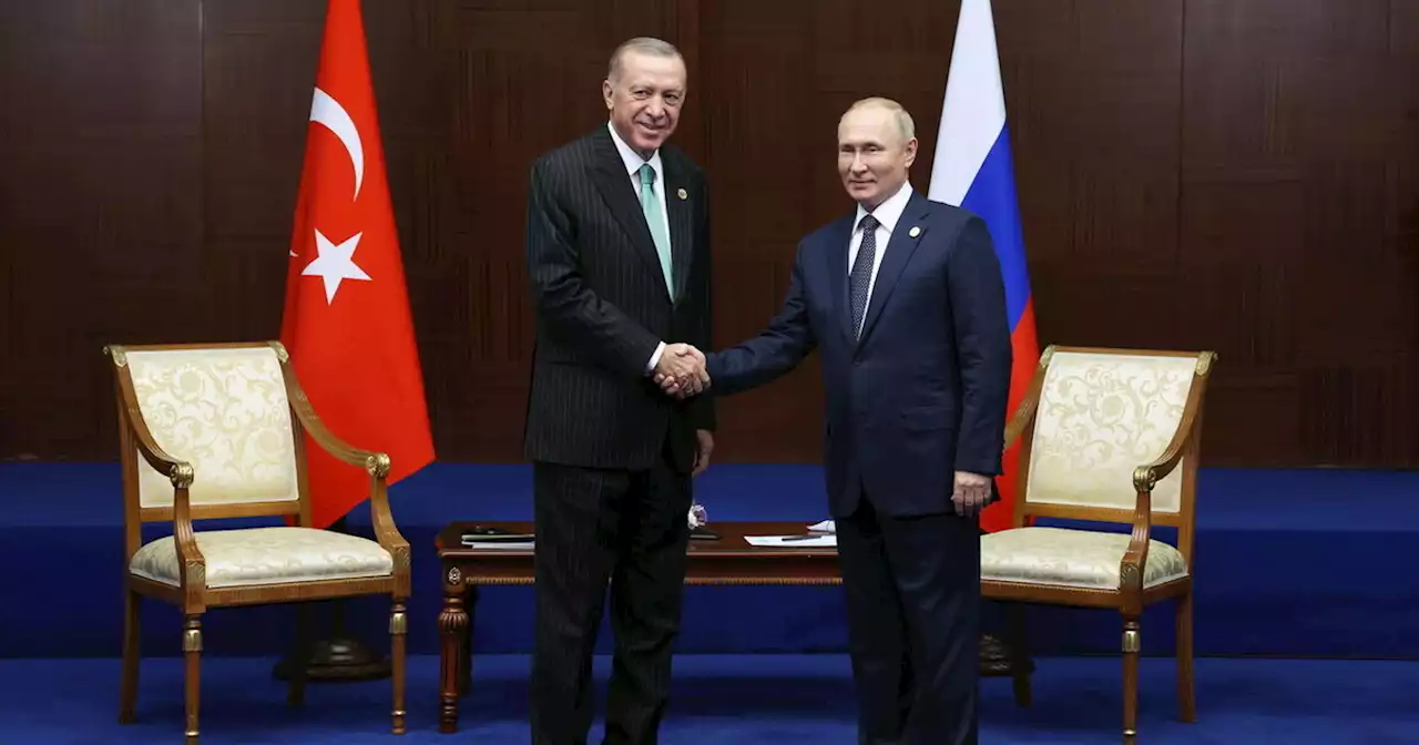 Gli assi di Erdogan sul grano, parla con Putin e punta all'accerchiamento