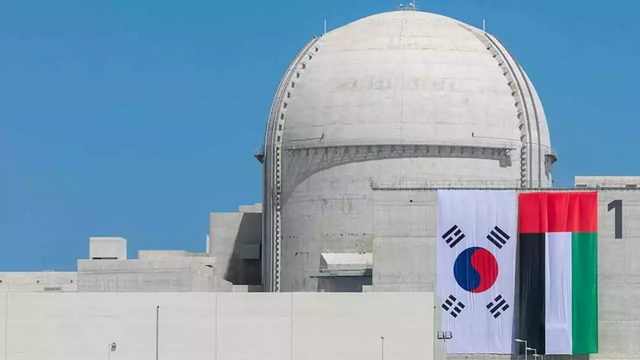 New UAE nuclear reactor pushes nuke power to 25% world needs