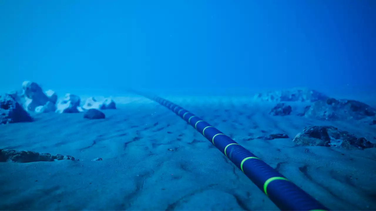 New undersea cable tech is like 'a powerful telescope for earthquakes'