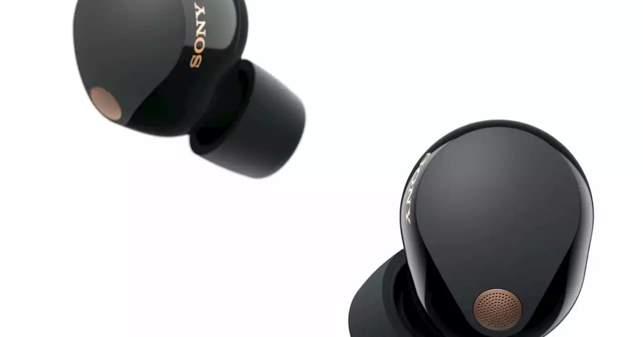 Sony WF-1000XM5: ear buds with a reputation to uphold