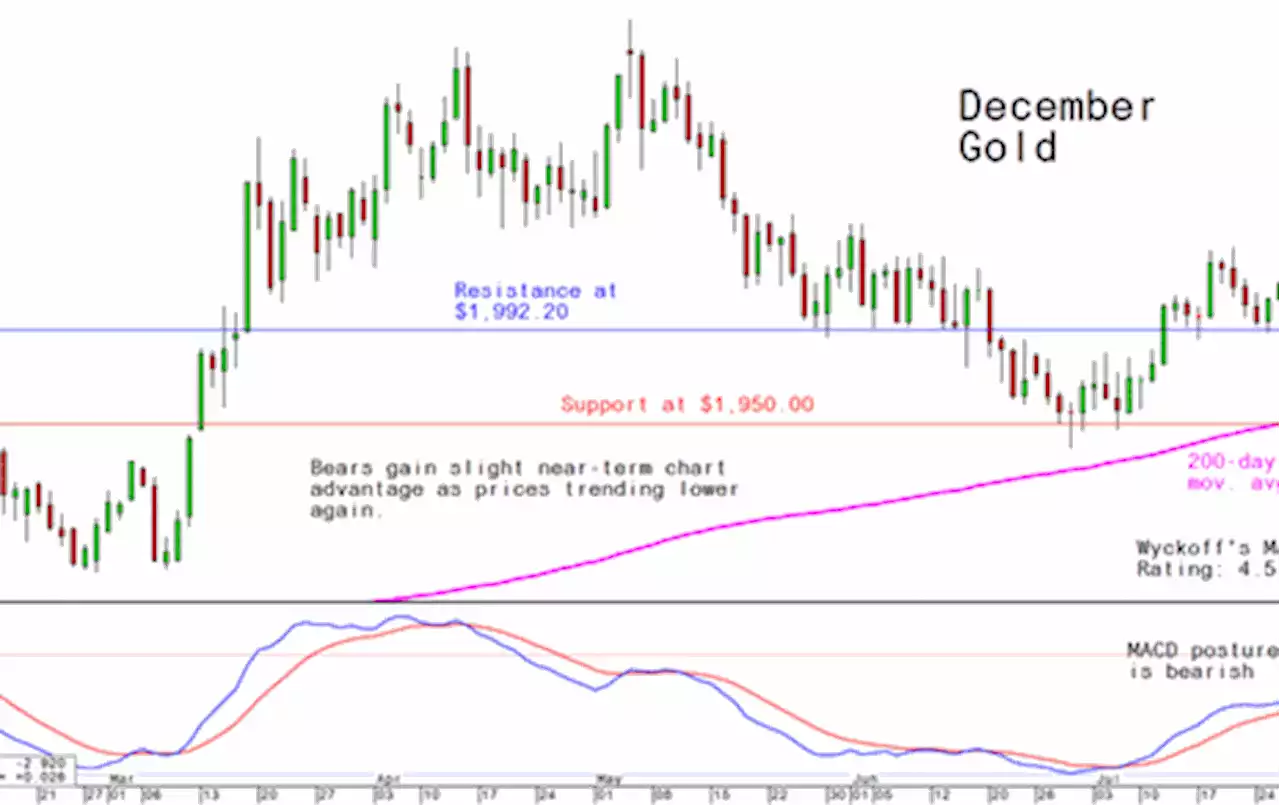 Thursday's Charts for Gold, Silver and Platinum and Palladium, August 3