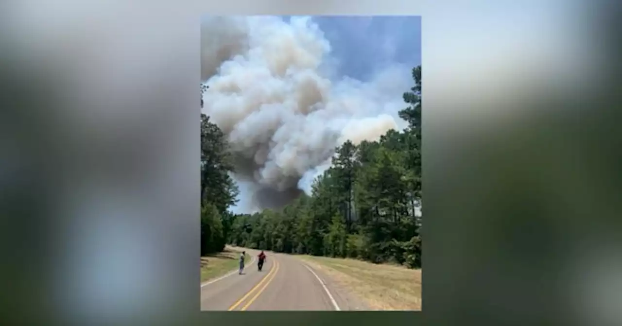 2 firefighters hospitalized with burns during 200 acre wildfire in San Jacinto County