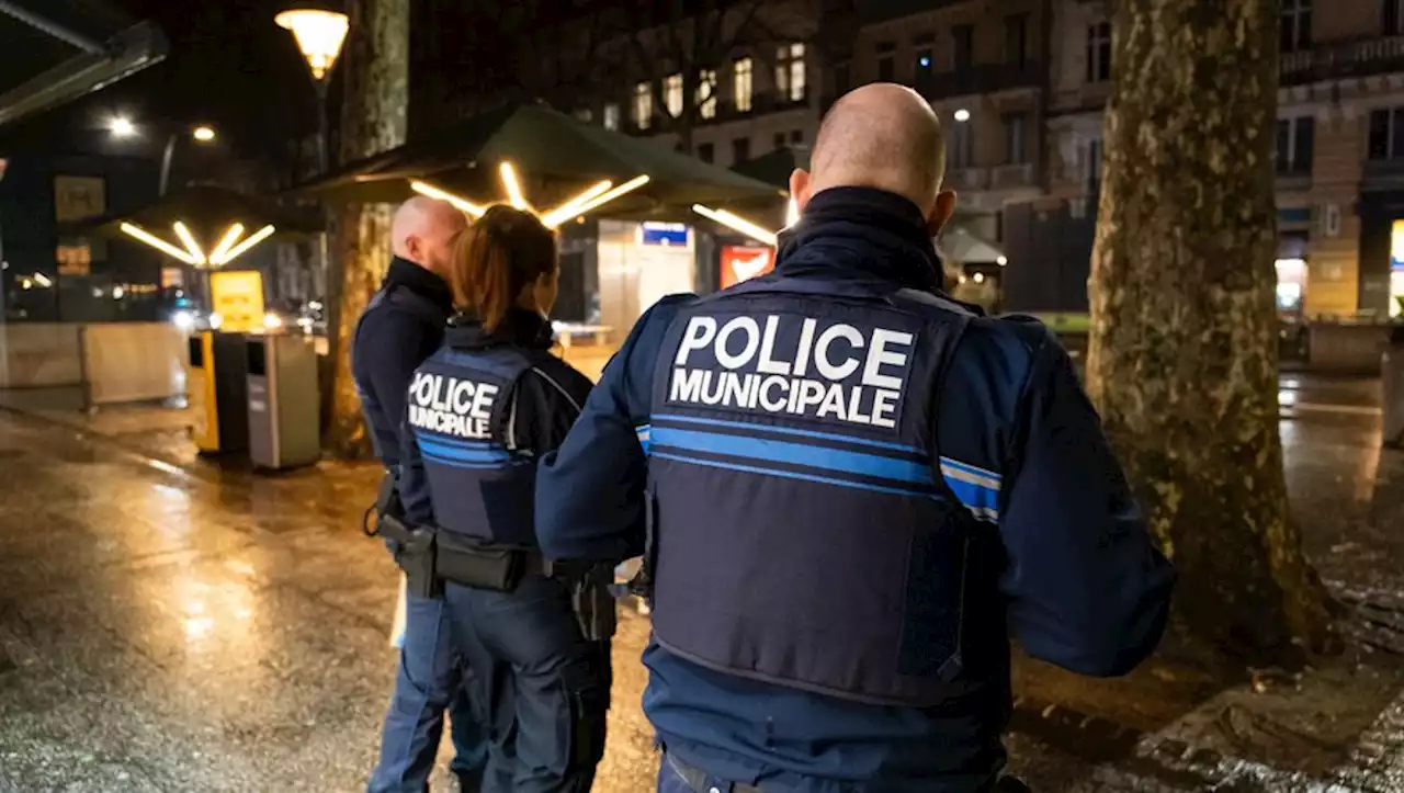 Toulouse encore une tortue en balade, cette fois avec un chauffeur trop pressé