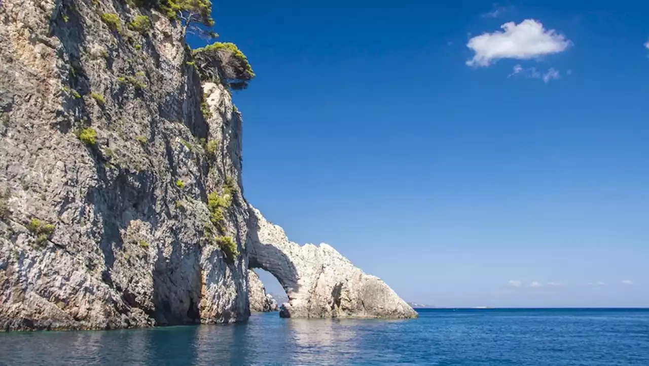 La mer Méditerranée à une température record de 28,4°C en juillet : les scientifiques alertent d'un risque de destruction des espèces