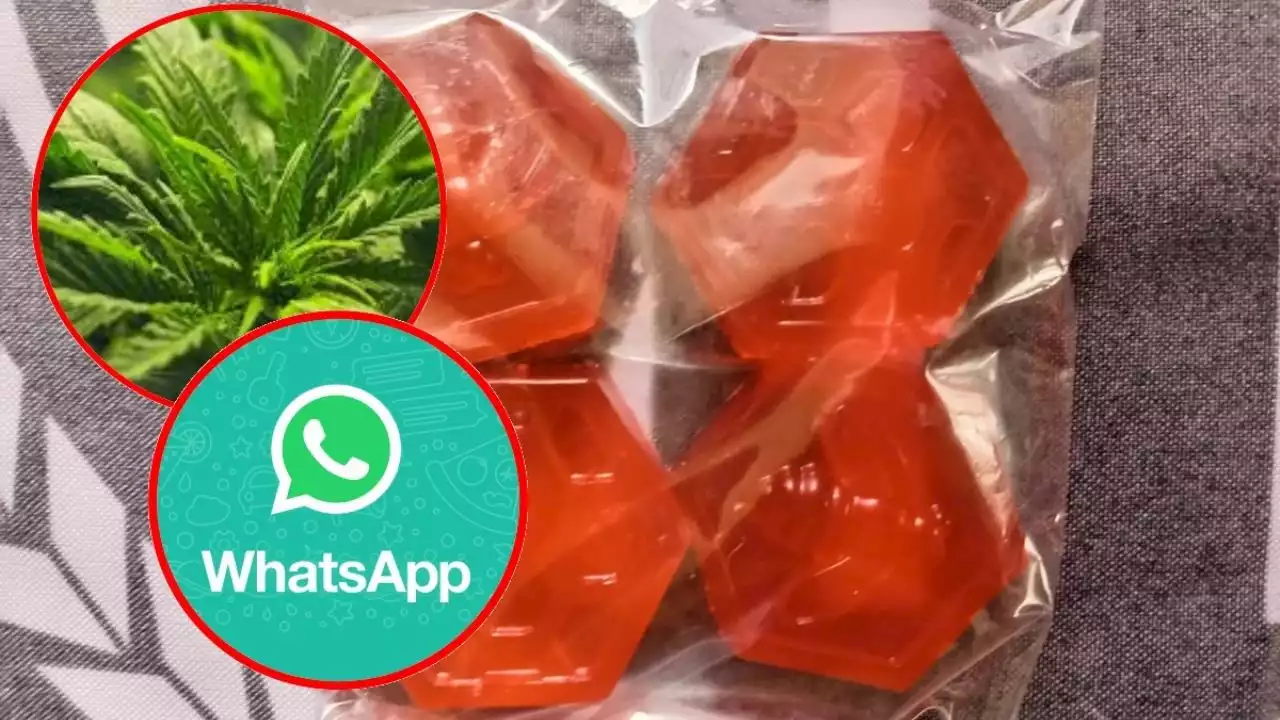 Compra de dulces con cannabis por WhatsApp