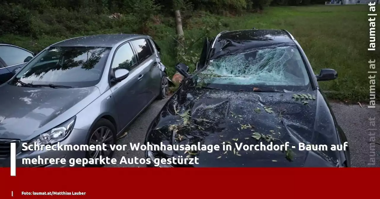 Schreckmoment vor Wohnhausanlage in Vorchdorf - Baum auf mehrere geparkte Autos gestürzt | laumat|at