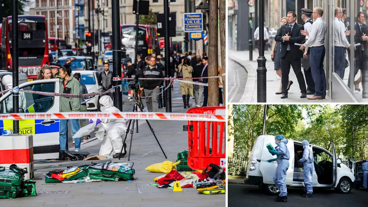 'It's not like on Midsomer Murders’: Met Detective shocked by increasing ‘ferocity’ of homicides in London