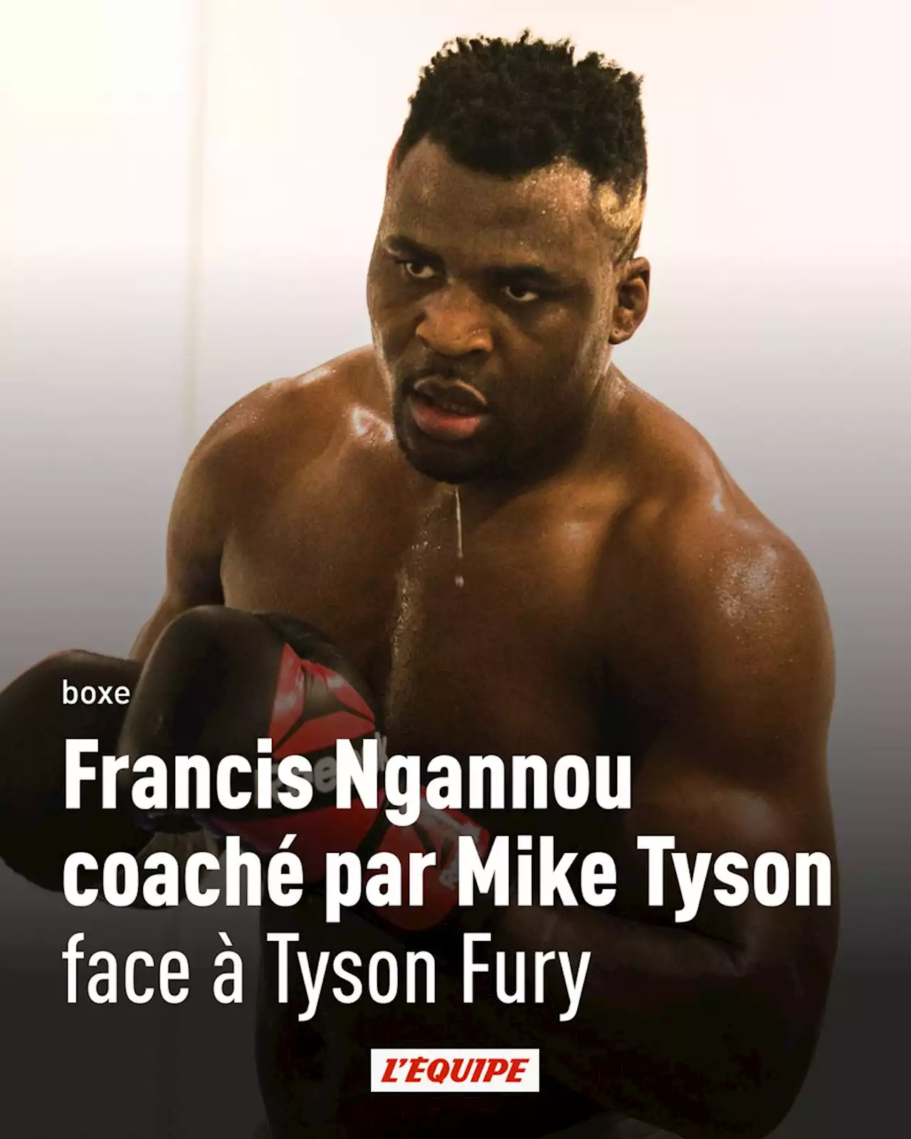 Francis Ngannou coaché par Mike Tyson face à Tyson Fury