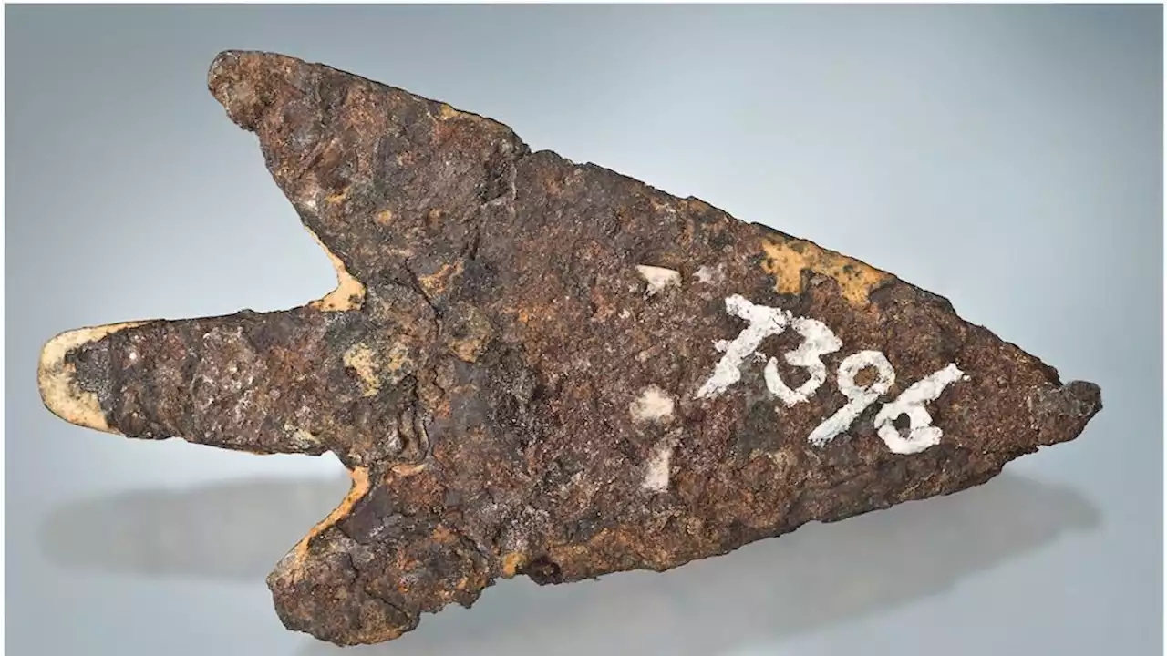 Meteorite that crashed to Earth 3,500 years ago carved into arrowhead by Bronze Age hunters