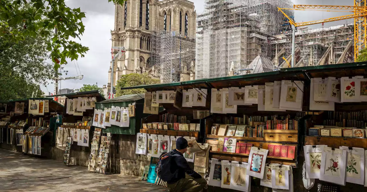 Les bouquinistes refusent qu’on les déloge pour les JO : « Et les platanes, on va les couper ? »