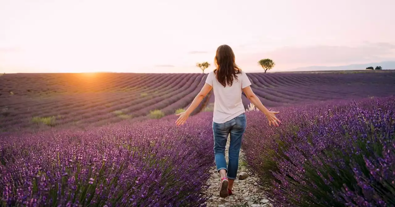 Horoscope de demain : ce que vous réservent les astres pour le vendredi 4 août 2023