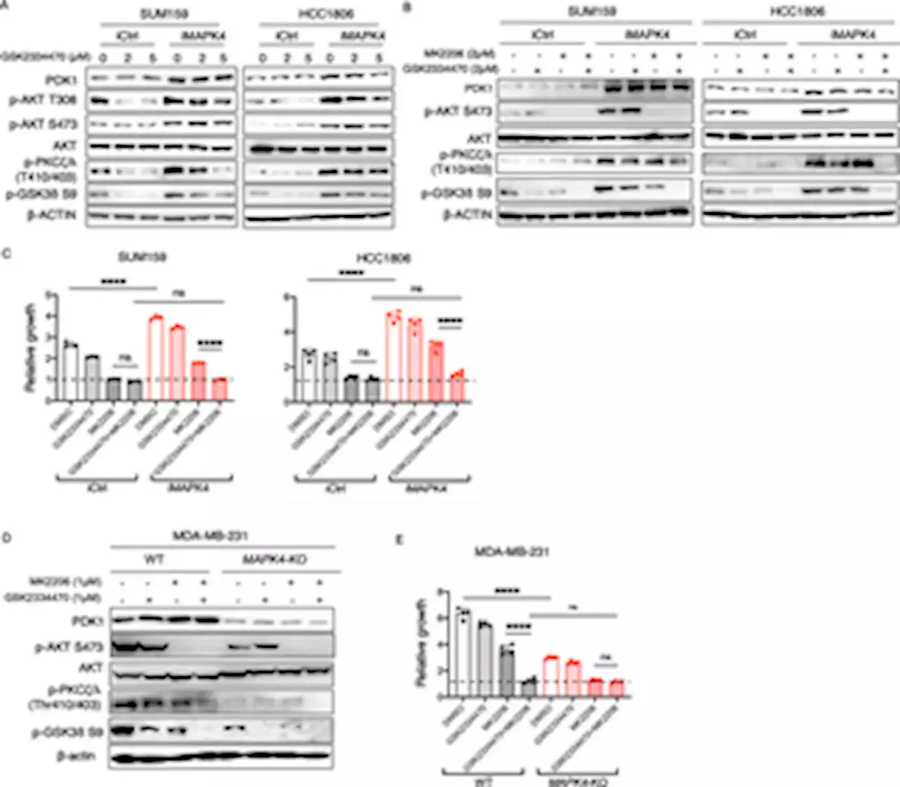 Cooperative activation of PDK1 and AKT by MAPK4 enhances cancer growth and resistance to therapy