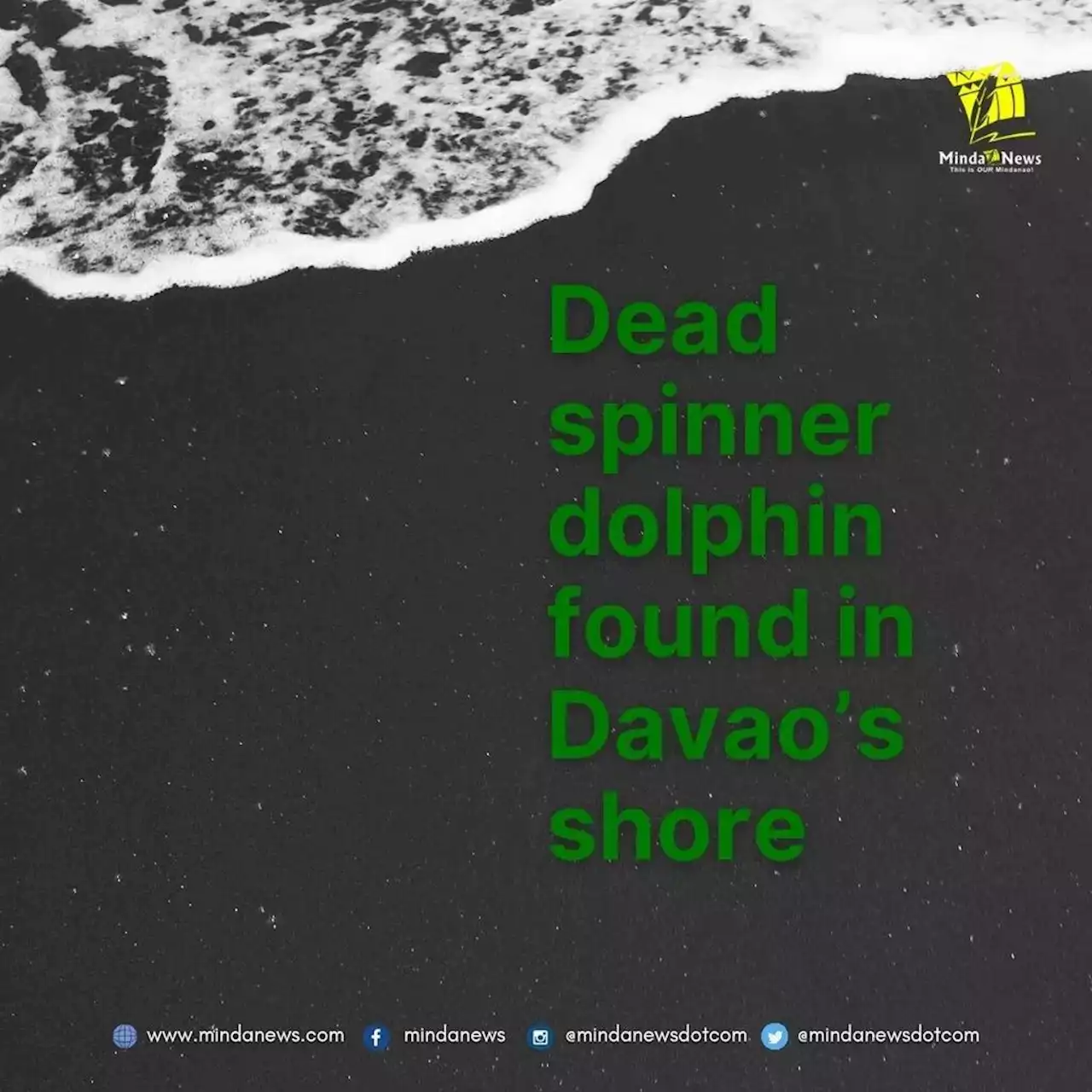 Dead spinner dolphin found in Davao’s shore