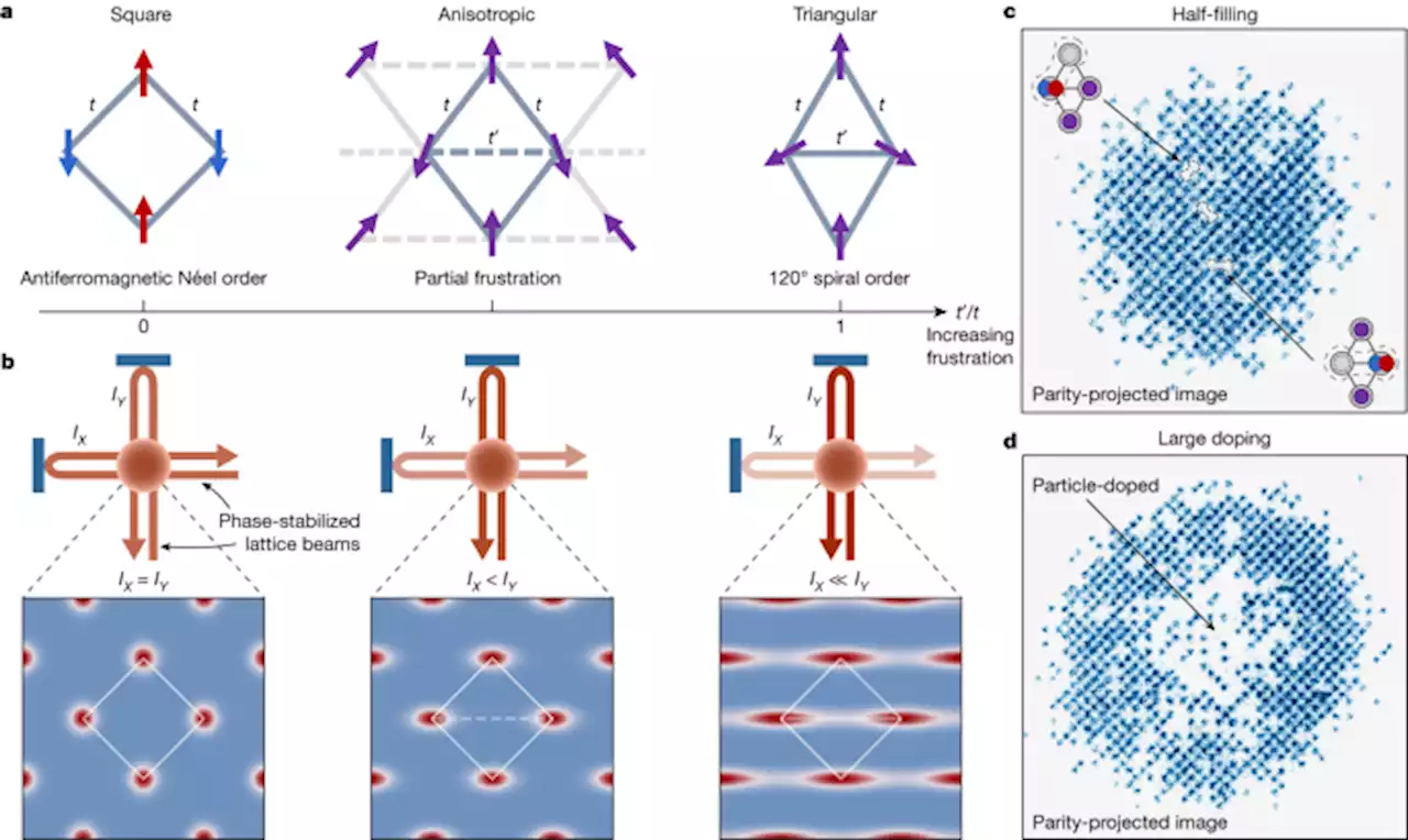 Frustration- and doping-induced magnetism in a Fermi–Hubbard simulator - Nature