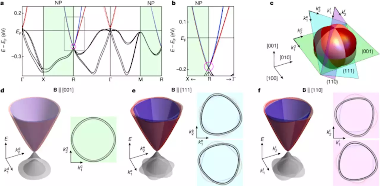 Quantum oscillations of the quasiparticle lifetime in a metal - Nature