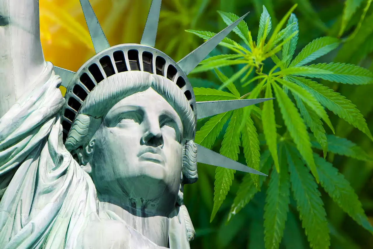 NYC consumes more marijuana than anywhere else in the world: Study