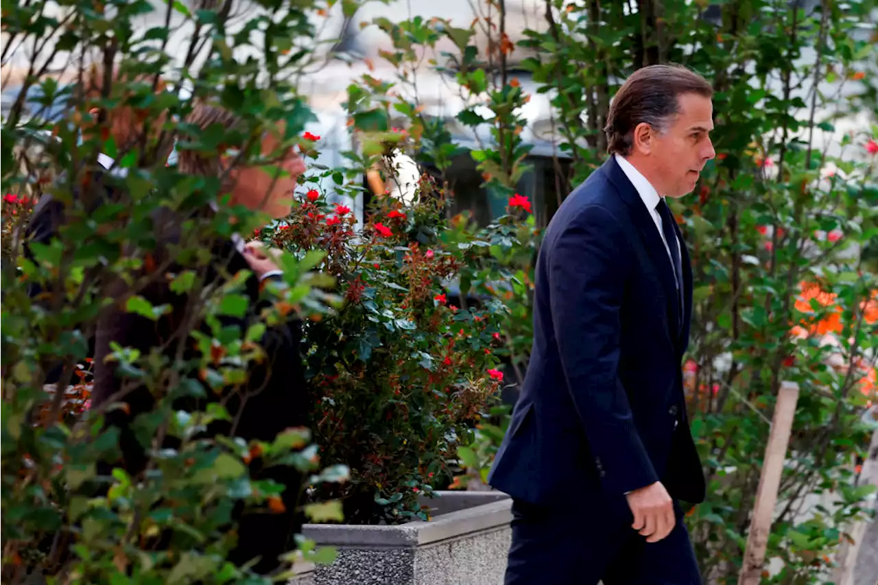 Documents in failed Hunter Biden plea agreement made public