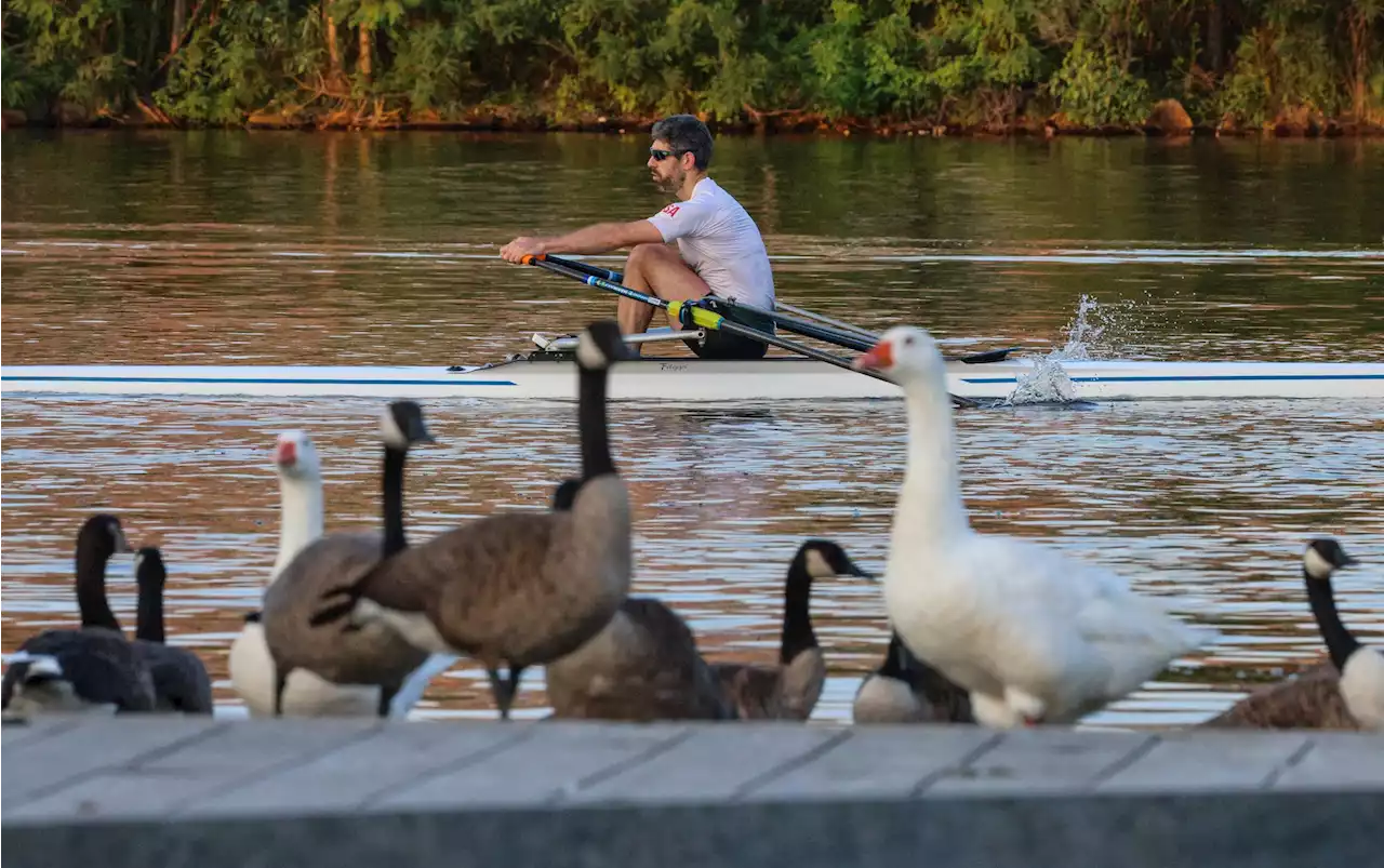 Boston-area rivers get mixed marks in latest water quality report card