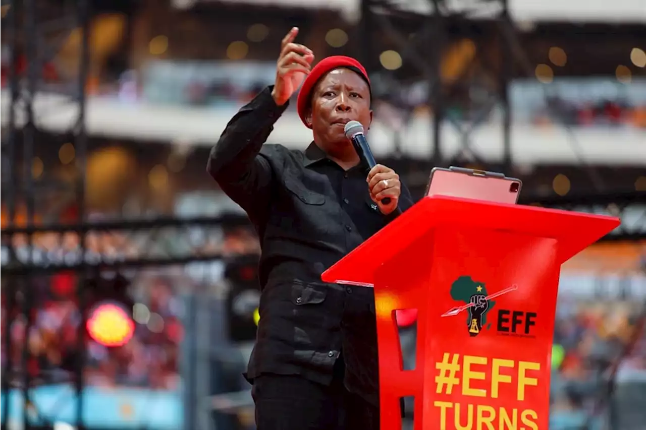 Pieter du Toit | 'Kill the boer' and other EFF chestnuts: How seriously should we take Julius Malema? | News24