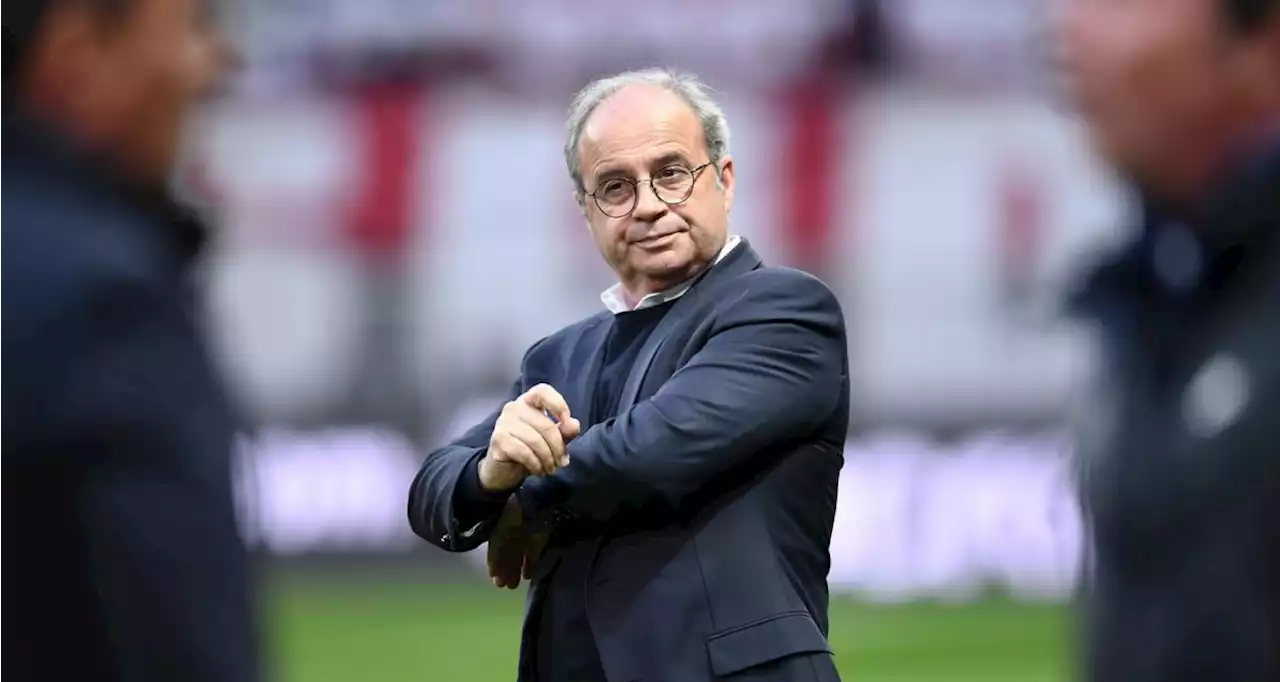 PSG : trois pistes pour remplacer Luis Campos