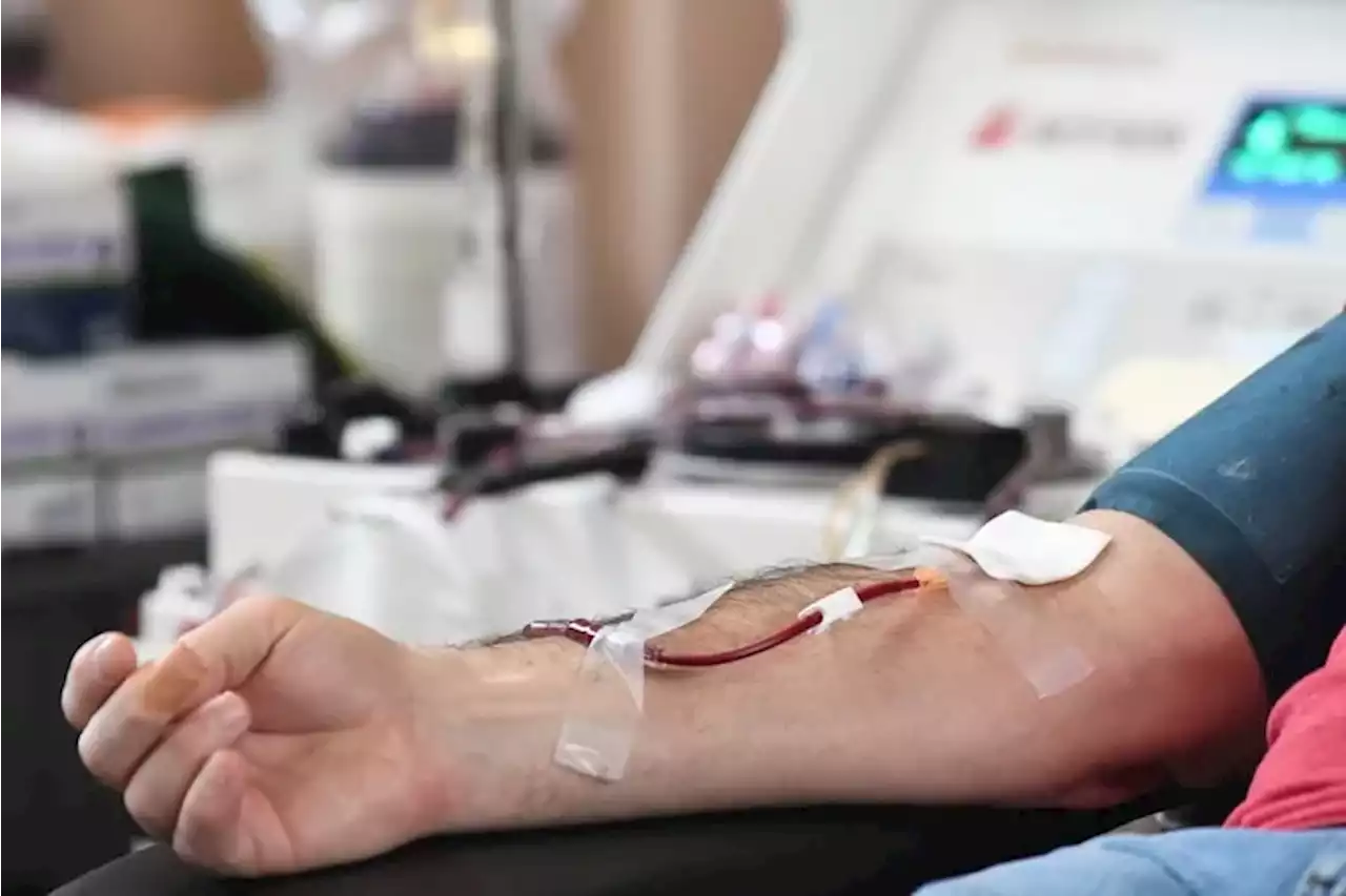 More gay and bisexual men can soon donate blood, after they were banned for decades