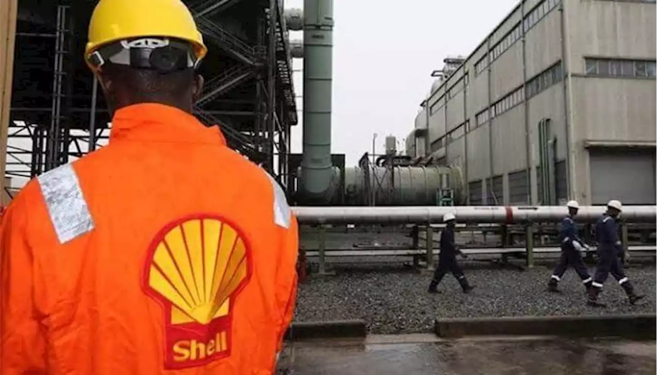 Oil Spill: Rivers Assembly orders Shell to clean up communities